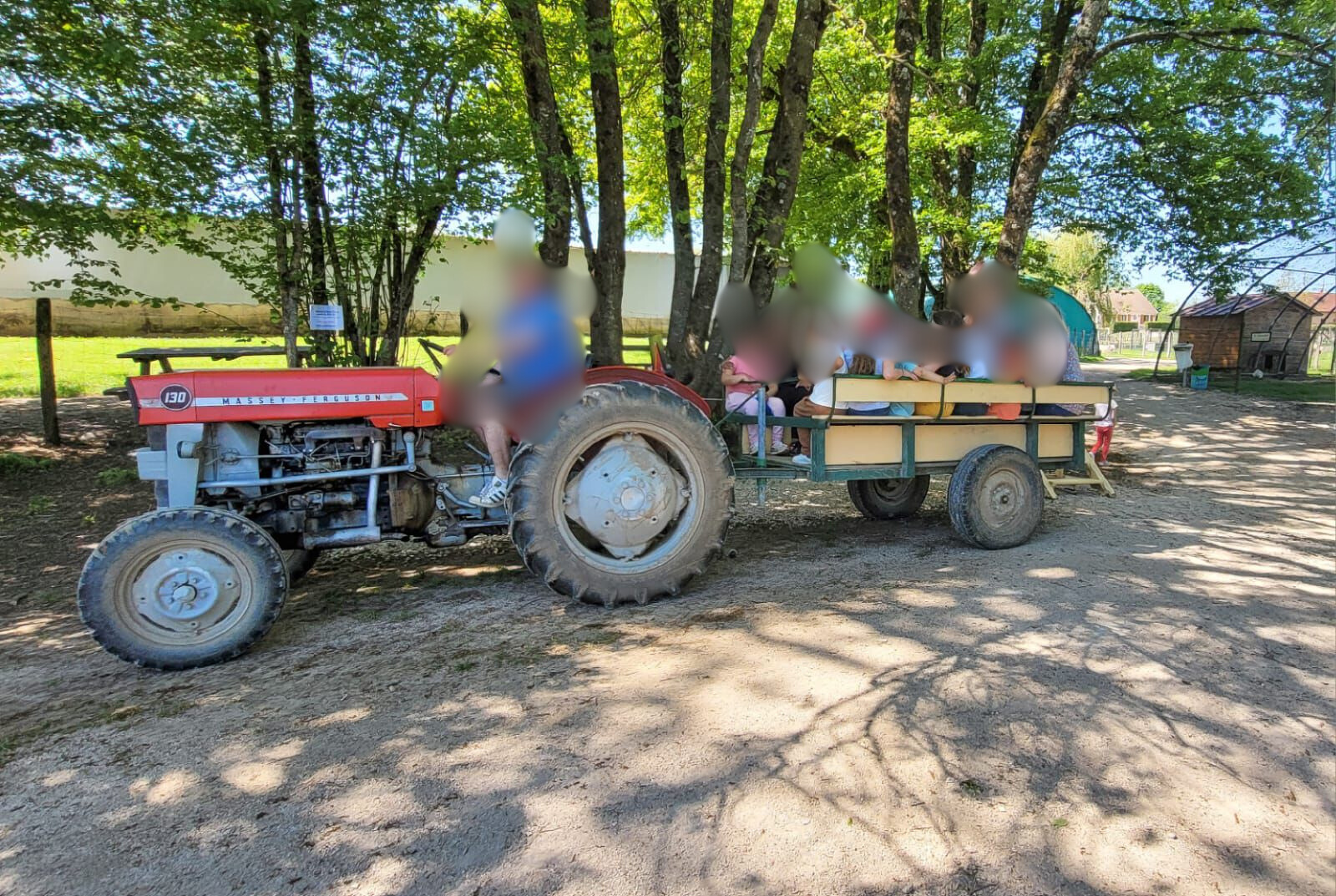 Sortie à la ferme.